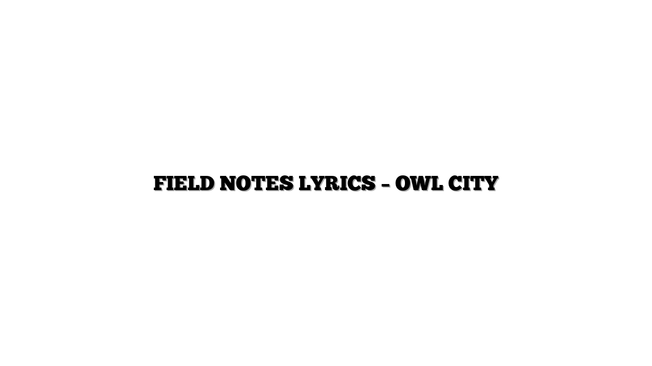 FIELD NOTES LYRICS – OWL CITY