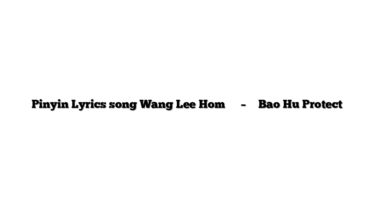 Pinyin Lyrics song Wang Lee Hom 王力宏 – 保護 Bao Hu Protect